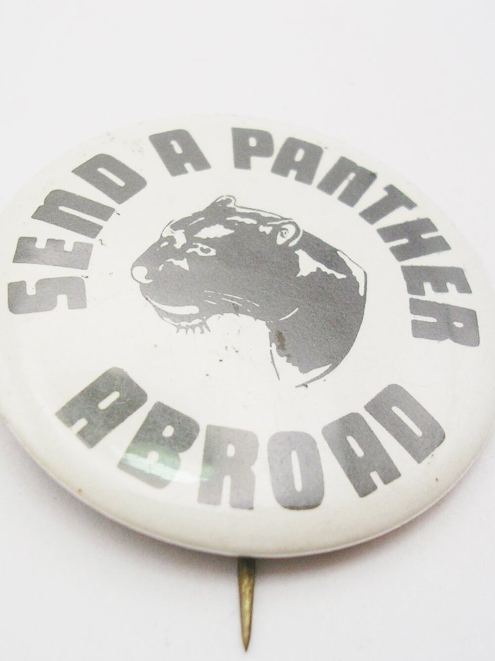 Vintage black panther pin button send a panther abroad